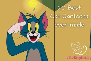 best cat cartoons