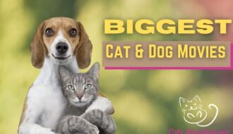 best cat and dog movies