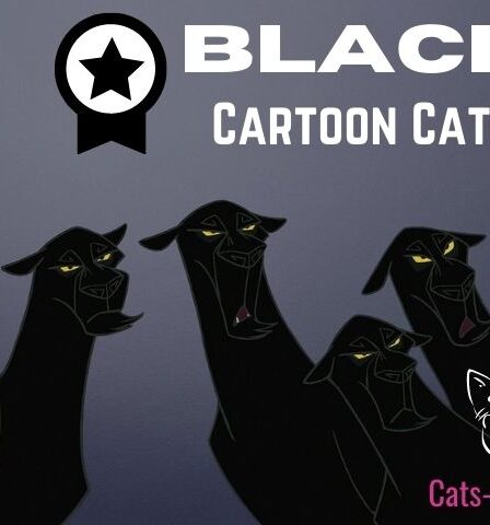 best black cartoon cats