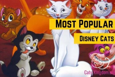 cats from disney movies