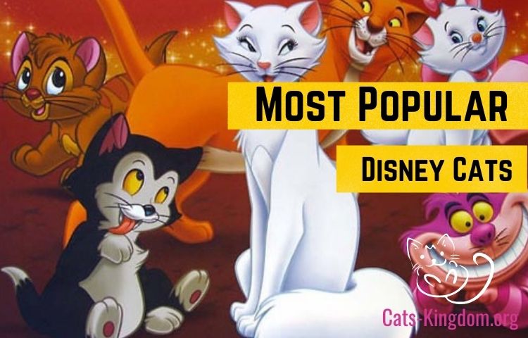 cats from disney movies