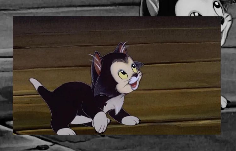 15 Insanely Cute Black Cartoon Cats Characters of All Time