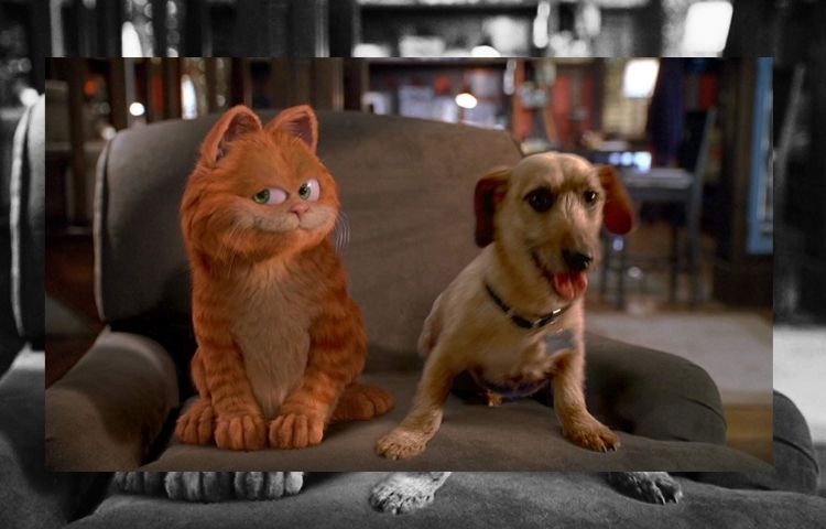 dog and cat movie