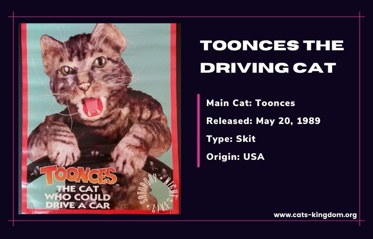 Toonces the driving cat poster