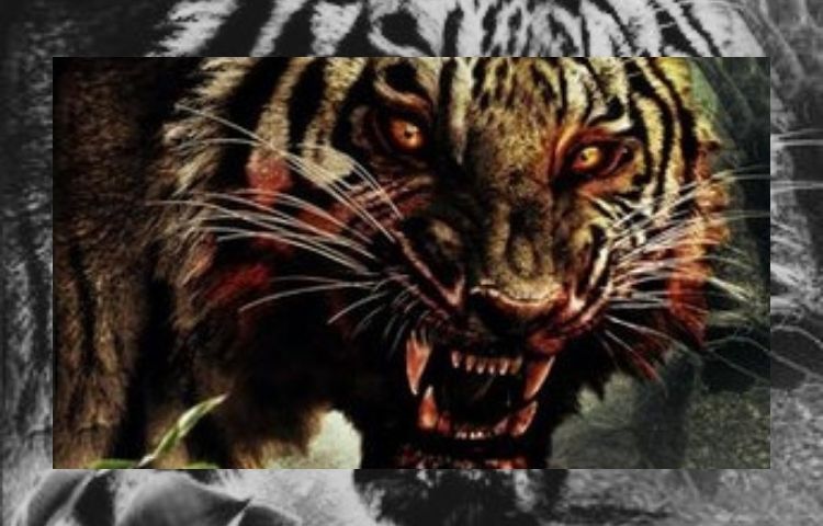 12 Greatest Tiger Movies of All Time - Cats-Kingdom