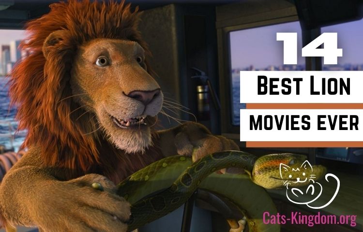 best lion movies