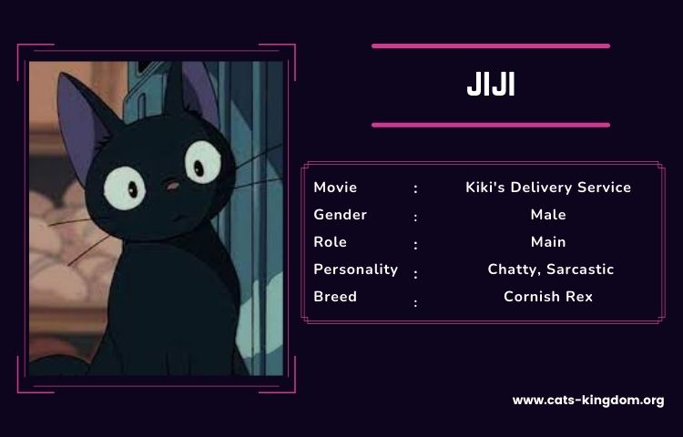 jiji cat info