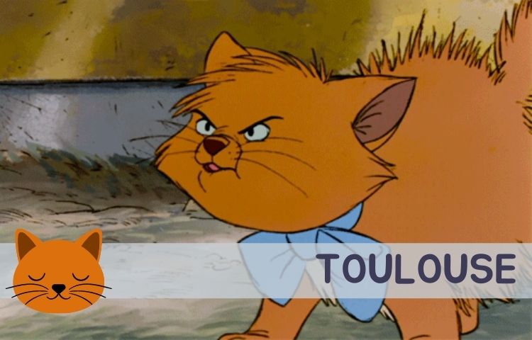 Toulouse aristocats character