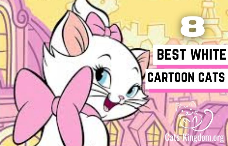 8 Sweet & Adorable White Cartoon Cat Characters - Cats-Kingdom