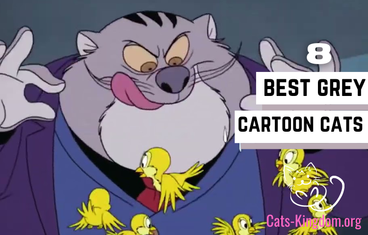 best grey cartoon cats