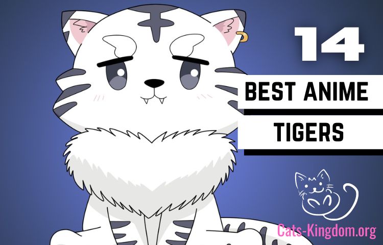 COLOR TIGERS | Anime Gallery | Tokyo Otaku Mode (TOM) Shop: Figures & Merch  From Japan
