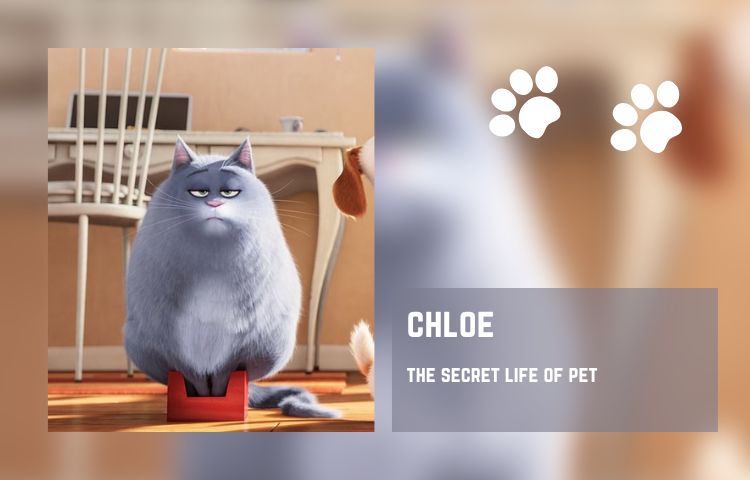 Chloe 3 