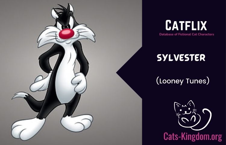 Sylvester The Witty And Determined Cat From Looney Tunes